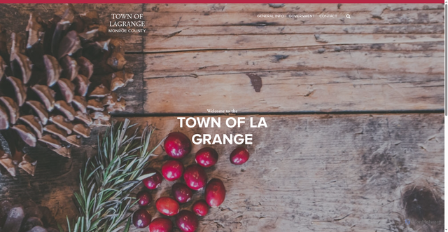 Security scan screenshot of https://www.townoflagrangemcwi.gov/