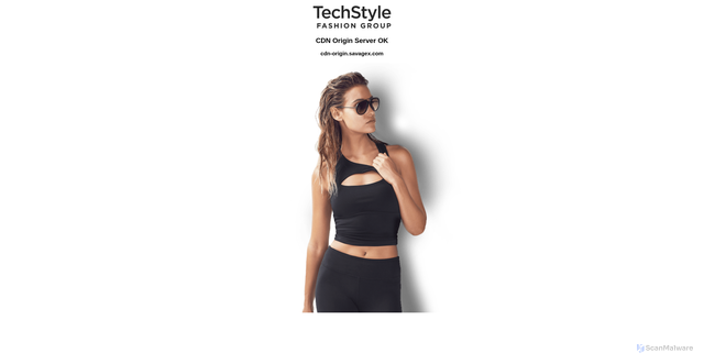 Security scan screenshot of https://cdn.savagex.com
