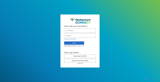 Security scan screenshot of https://www.netsmartconnect.com