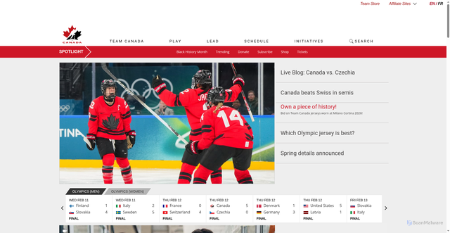 Security scan screenshot of https://video.hockeycanada.ca/