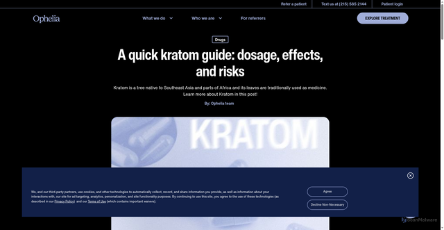 Security scan screenshot of https://ophelia.com/blog/a-quick-cohesive-guide-to-kratom