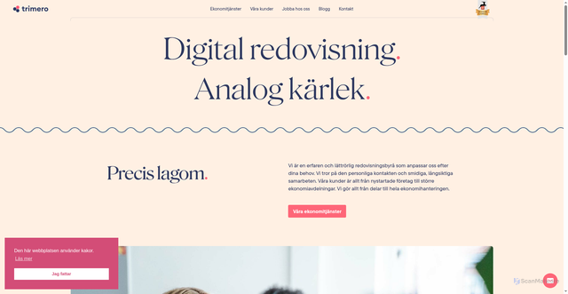 Security scan screenshot of https://analogkarlek.se