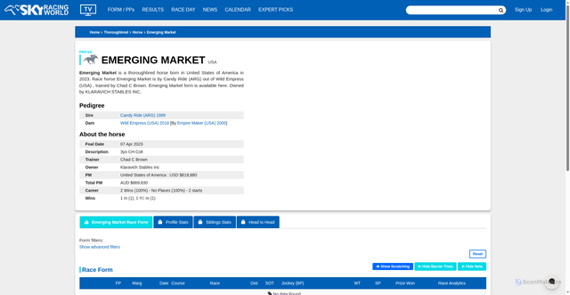 Security scan screenshot of https://www.skyracingworld.com/thoroughbred/horse/emerging-market/2387315