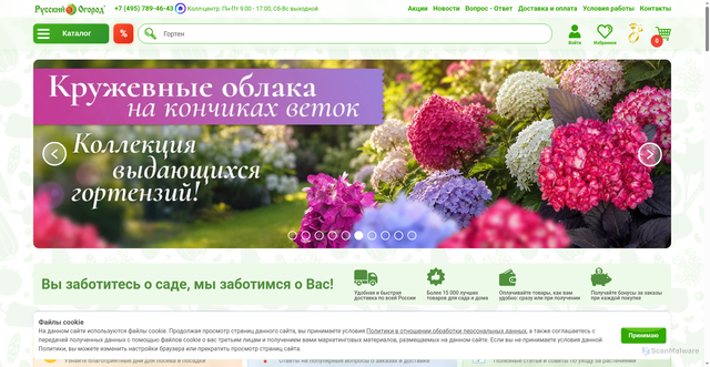 Security scan screenshot of https://ncsemena.ru