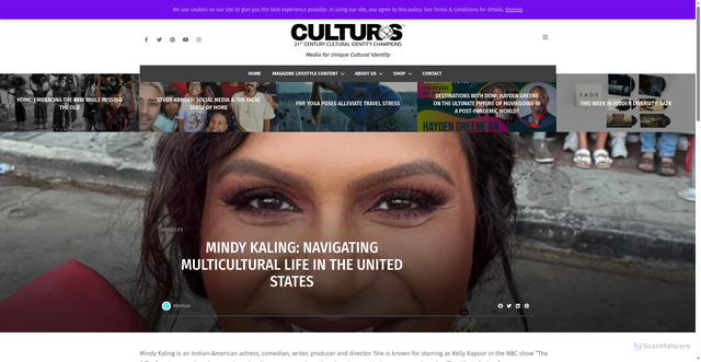 Security scan screenshot of https://www.cultursmag.com/mindy-kaling-navigating-multicultural-life-in-america/