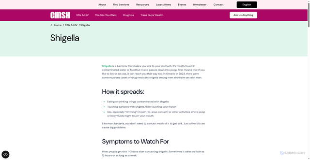 Security scan screenshot of https://gmsh.ca/articles/shigella/