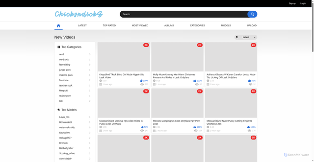 Security scan screenshot of https://www.chicksndicks.com