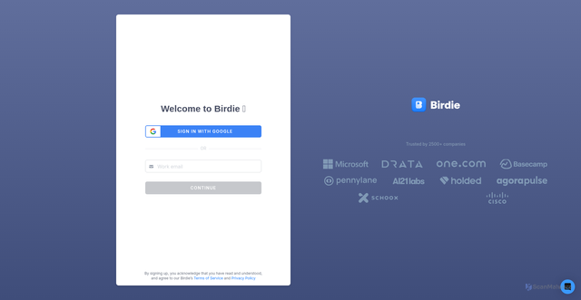 Security scan screenshot of https://app.birdie.so