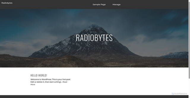 Security scan screenshot of https://radiobytes.artspeakcreative.com