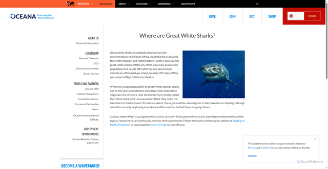Security scan screenshot of https://usa.oceana.org/where-are-great-white-sharks/