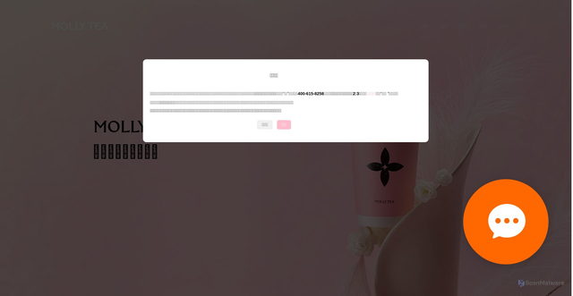 Security scan screenshot of https://mollytea.com