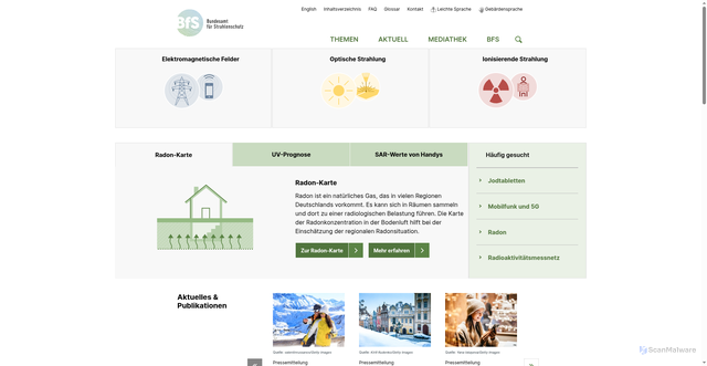 Security scan screenshot of https://www.bfs.de/DE/home/home_node.html
