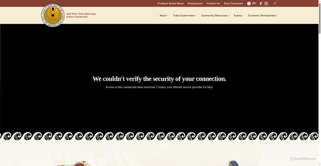Security scan screenshot of https://srpmic-nsn.gov/