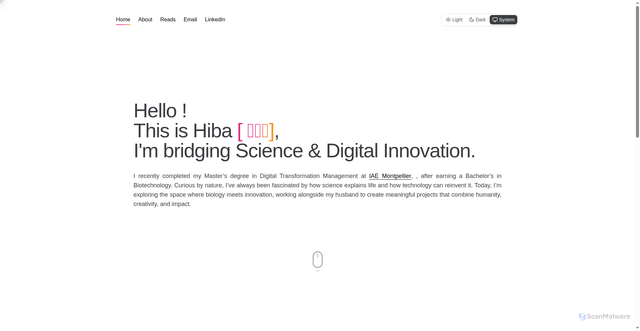 Security scan screenshot of https://hibaportfolio.pages.dev/