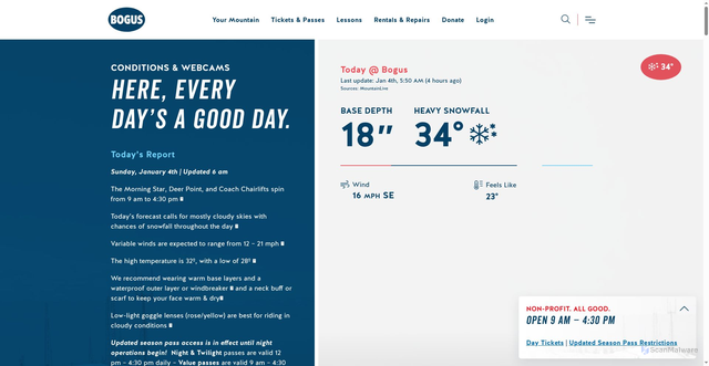Security scan screenshot of https://bogusbasin.org/your-mountain/conditions-webcams/