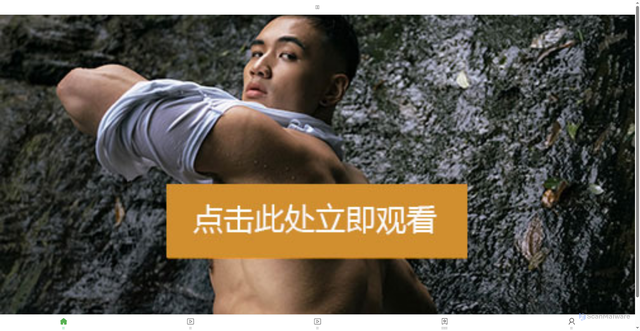 Security scan screenshot of http://fdvfd345df.click/