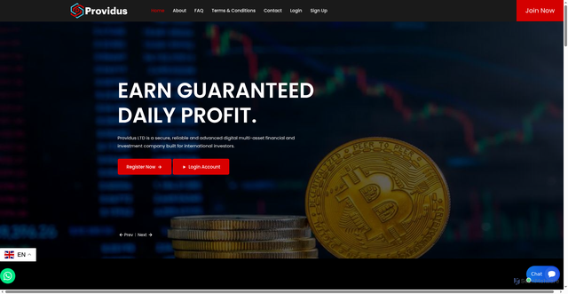 Security scan screenshot of https://providusltd.io/