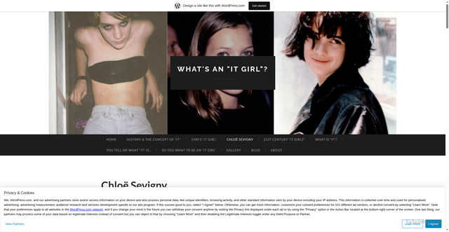 Security scan screenshot of https://whatsanitgirl.wordpress.com/chloe-sevigny/