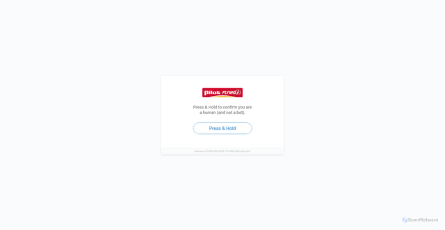 Security scan screenshot of https://login.pilotflyingj.com