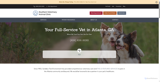 Security scan screenshot of https://svptemplate.vet