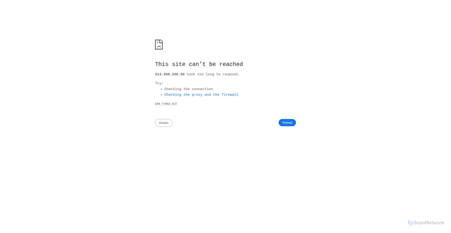 Security scan screenshot of https://213.200.246.86:4443