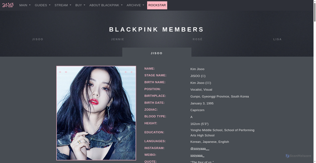 Security scan screenshot of https://24365withblinks.com/about_members.html