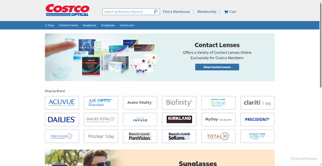 Security scan screenshot of https://contacts.costco.com