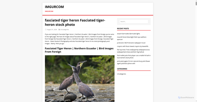 Security scan screenshot of https://imgurcom.pages.dev/post/fasciated-tiger-heron/