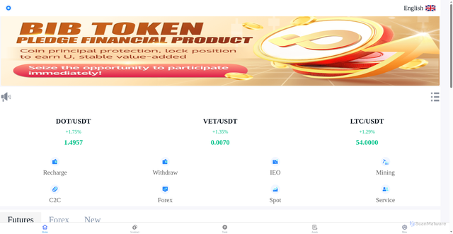 Security scan screenshot of http://coinwowsss.top/