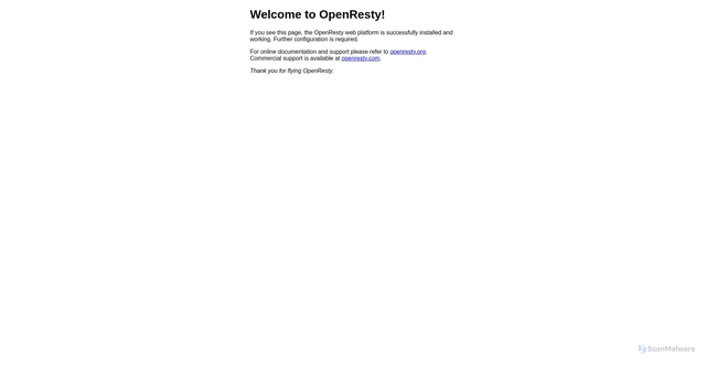 Security scan screenshot of https://sntp-o.api.leiniao.com