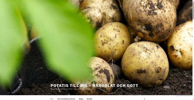 Security scan screenshot of https://potatisbilen.se