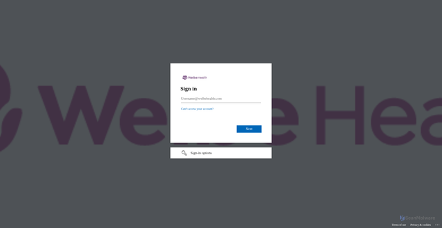 Security scan screenshot of https://welbepace-my.sharepoint.com