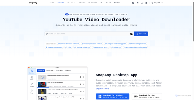 Security scan screenshot of https://snapany.com/youtube