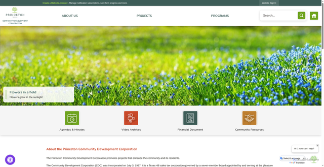 Security scan screenshot of https://www.princetontx.gov/cdc