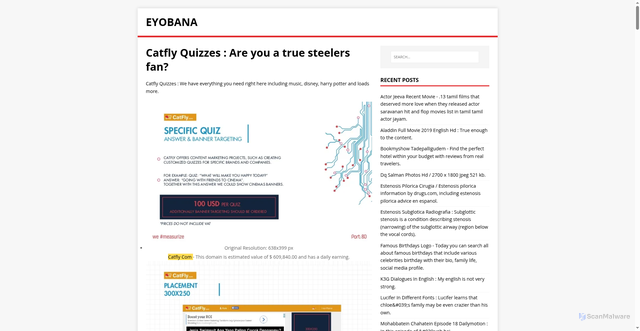 Security scan screenshot of https://anaboye.pages.dev/posts/catfly-quizzes/