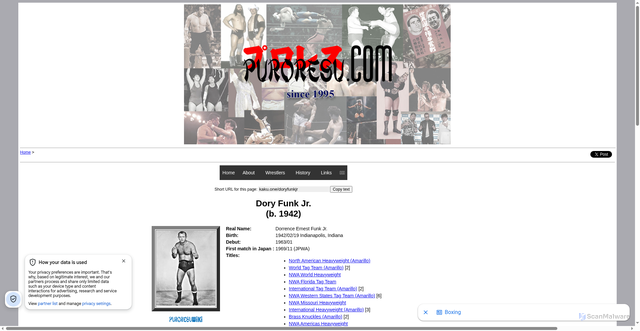 Security scan screenshot of https://www.puroresu.com/personalities/funks/dory_jr.html