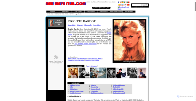 Security scan screenshot of https://www.newwavefilm.com/french-new-wave-encyclopedia/brigitte-bardot.shtml