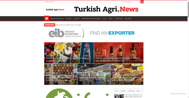 Security scan screenshot of https://turkishagrinews.com