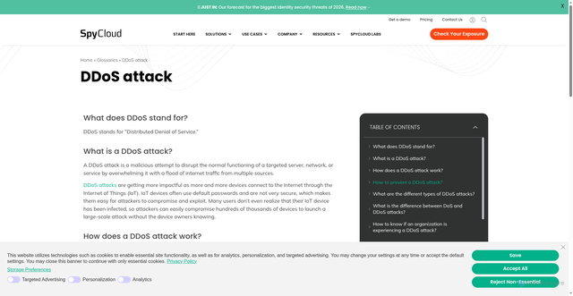 Security scan screenshot of https://spycloud.com/glossary/ddos-attack/