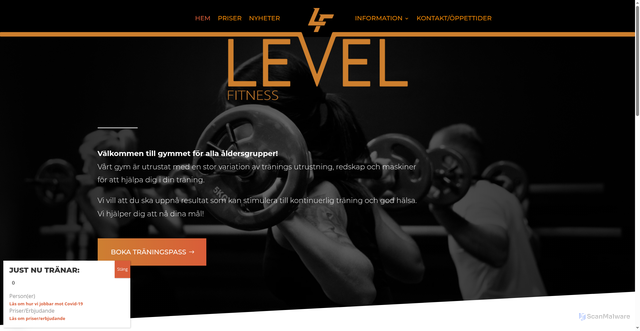 Security scan screenshot of https://levelfitness.se