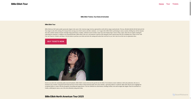 Security scan screenshot of https://www.billieeilishtour.org/