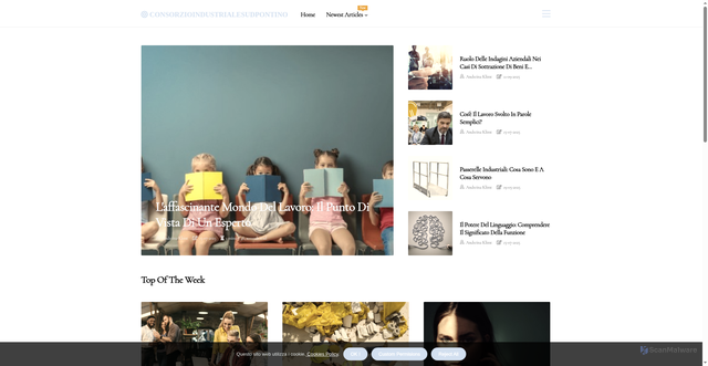 Security scan screenshot of https://www.consorzioindustrialesudpontino.it/