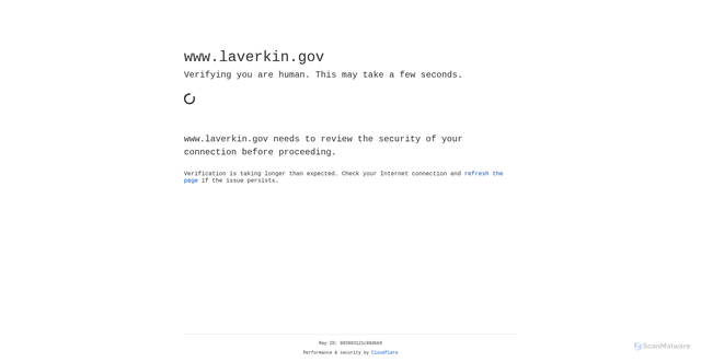 Security scan screenshot of https://www.laverkin.gov/