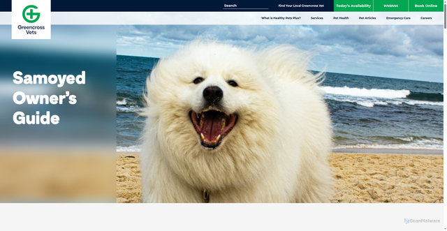 Security scan screenshot of https://www.greencrossvets.com.au/pet-library/dogs/breed-guides/samoyed-owners-guide/