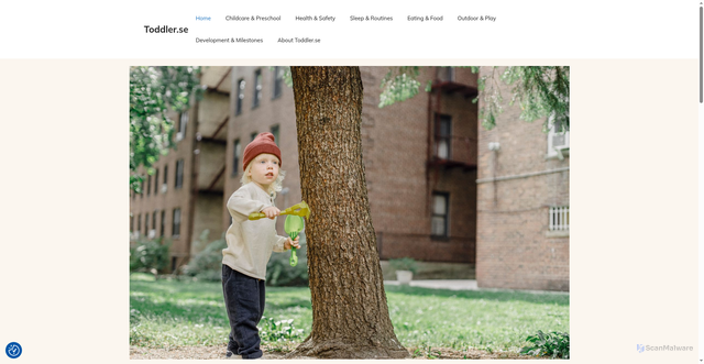 Security scan screenshot of https://toddler.se