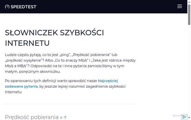 Security scan screenshot of https://anan-3rv.pages.dev/pl/about/knowledge/glossary