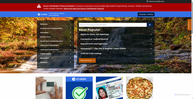 Security scan screenshot of https://ct.gov