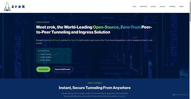 Security scan screenshot of https://zrok.io