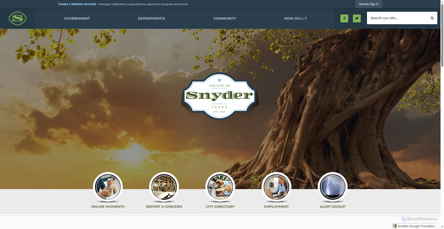Security scan screenshot of https://snydertx.gov/