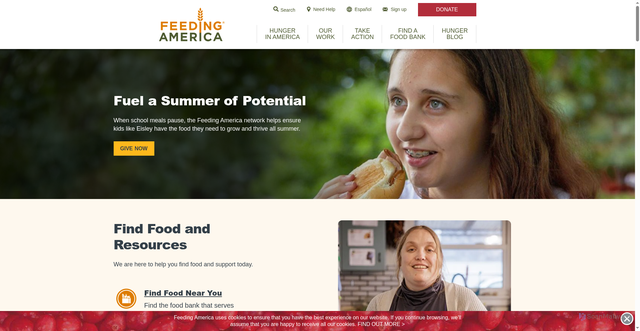 Security scan screenshot of https://www.feedingamerica.org